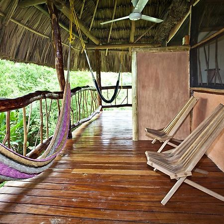 Cotton Tree Lodge San Felipe  Exterior photo